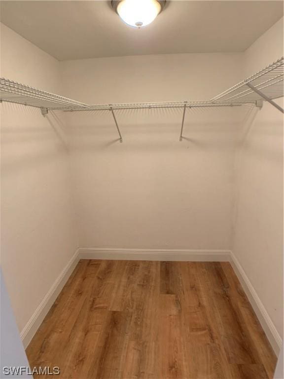 walk in closet with wood-type flooring