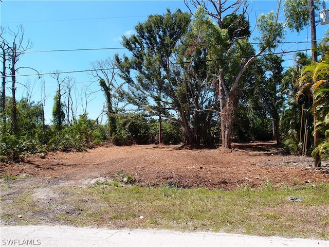 3916 Papaya St, Saint James City FL, 33956 land for sale