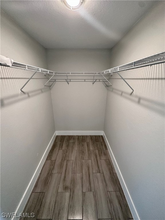 spacious closet with dark hardwood / wood-style floors