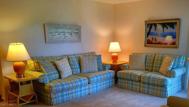 living area with carpet floors