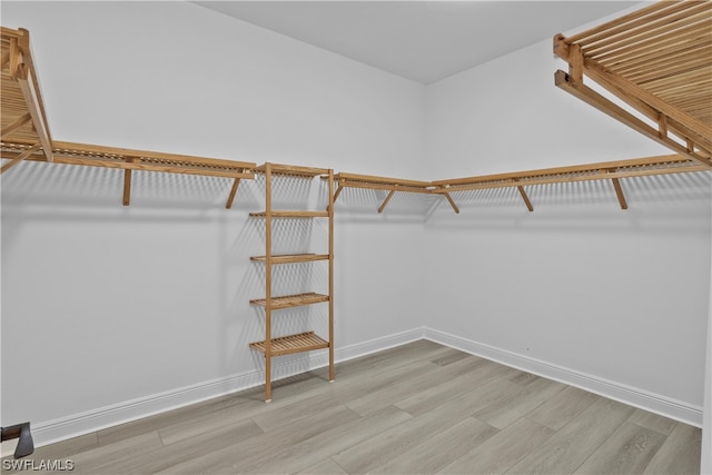 walk in closet featuring light hardwood / wood-style flooring