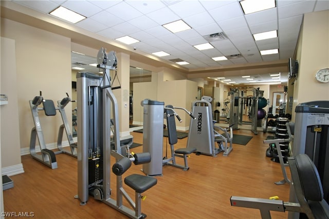 gym featuring a paneled ceiling and light hardwood / wood-style floors