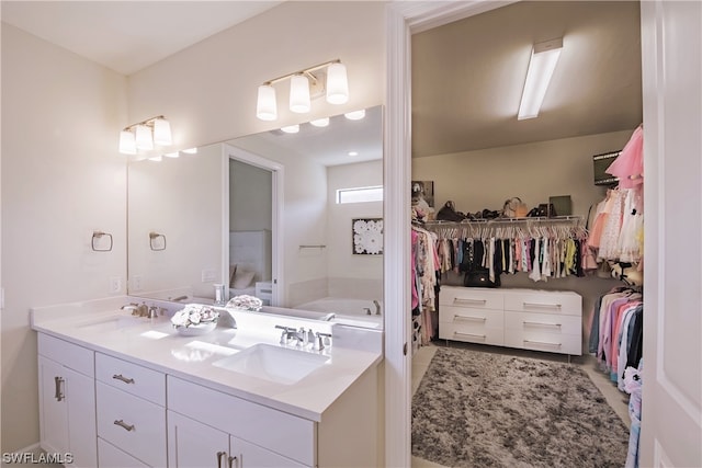 bathroom featuring dual bowl vanity