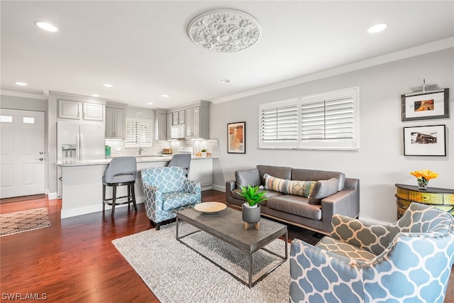 living room featuring crown molding and dark wood-type flooring