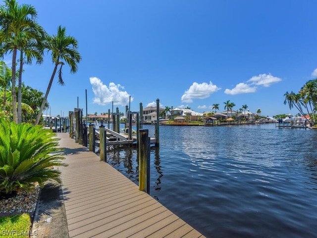 dock area with a water view