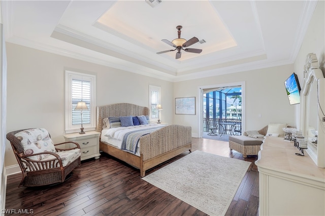 bedroom featuring multiple windows and a raised ceiling