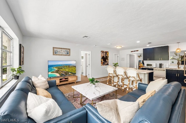 living room featuring hardwood / wood-style floors