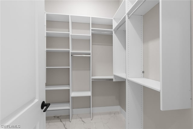 view of walk in closet