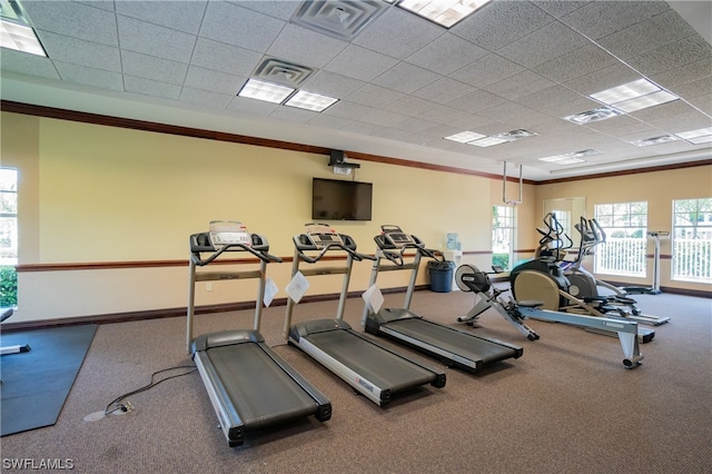 workout area with dark carpet, a drop ceiling, and crown molding