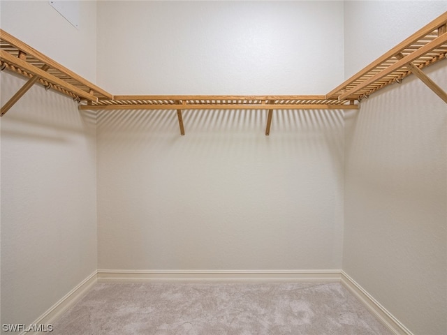 walk in closet featuring carpet floors