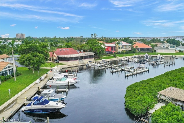 exterior space with a dock