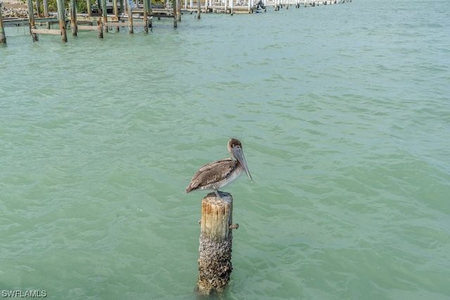 water view featuring a dock