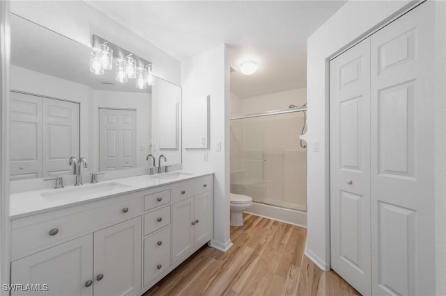 bathroom with a closet, a sink, and toilet