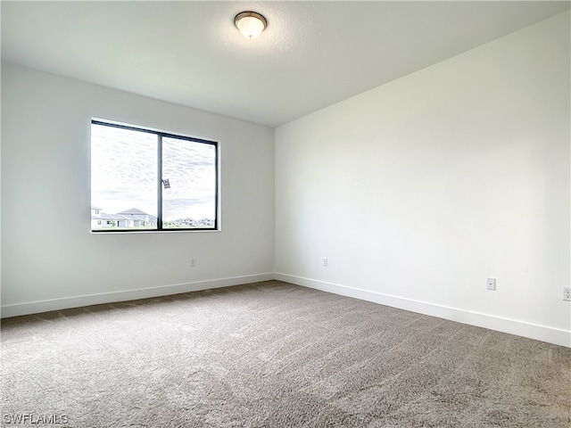 spare room with carpet floors