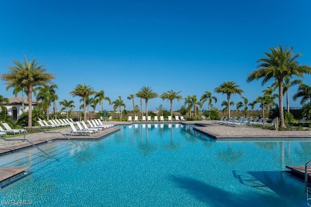 view of pool with a patio