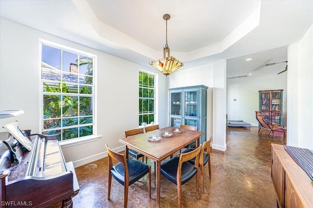 dining room featuring a healthy amount of sunlight and a tray ceiling