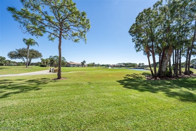 exterior space featuring a lawn