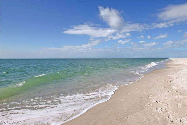 view of water feature featuring a view of the beach