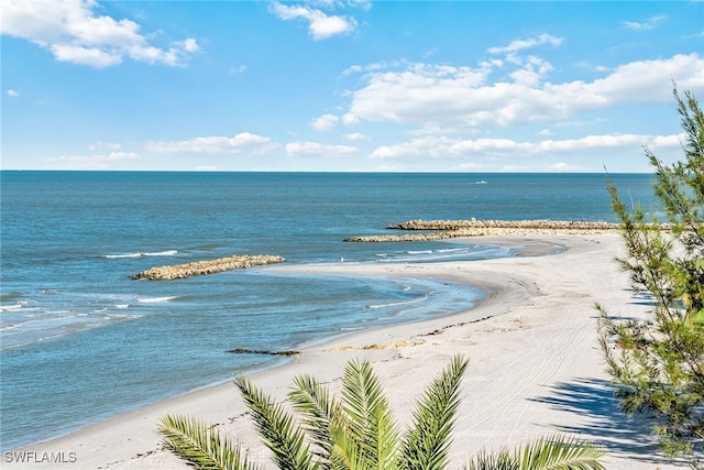 property view of water featuring a view of the beach