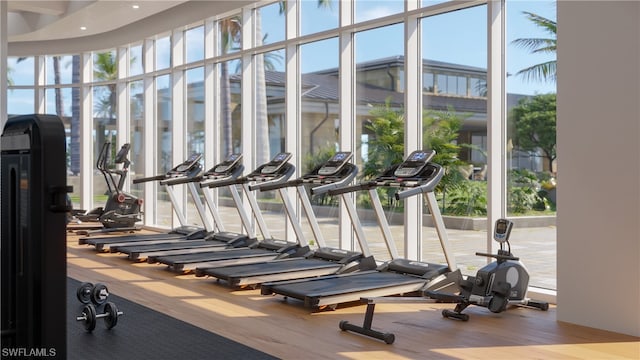 gym with a wall of windows, a healthy amount of sunlight, and light wood-type flooring