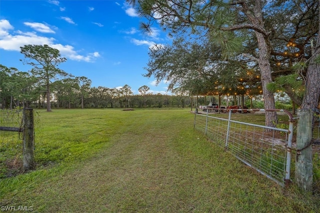 view of yard with a rural view