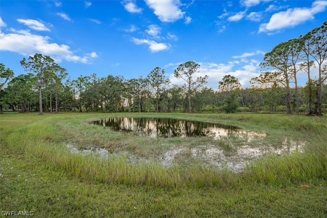 view of local wilderness featuring a water view