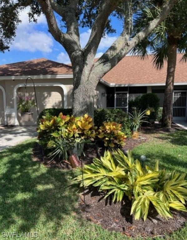 ranch-style home featuring a front lawn