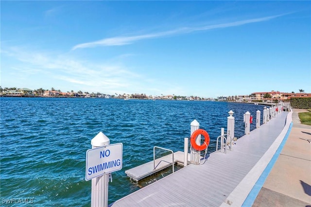 dock area with a water view