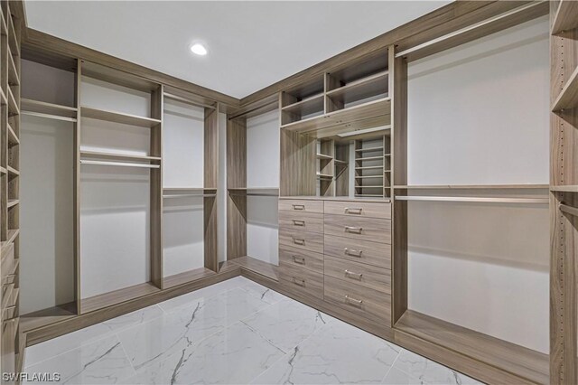 view of walk in closet