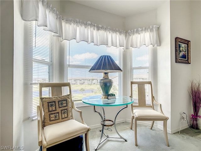 living area with light carpet