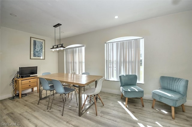 dining room with light hardwood / wood-style floors