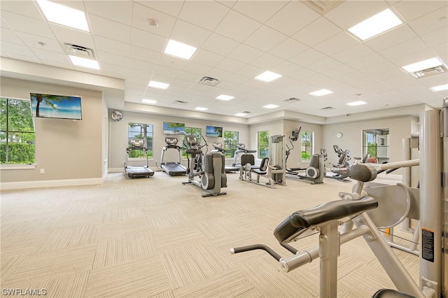 gym with plenty of natural light, a paneled ceiling, and light carpet