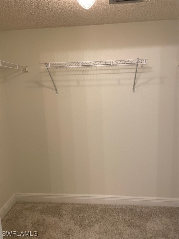 walk in closet with carpet flooring