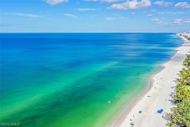 property view of water featuring a view of the beach