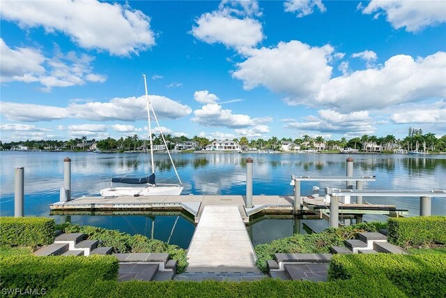 dock area with a water view