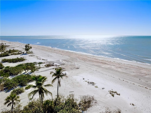 water view featuring a view of the beach