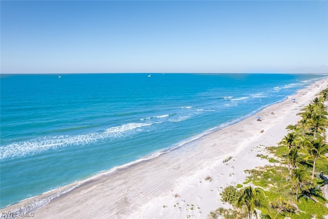 water view featuring a beach view