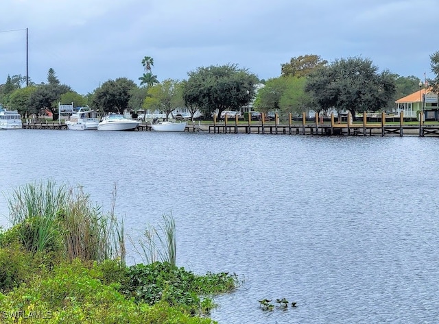 LOT19 River Rd, Moore Haven FL, 33471 land for sale