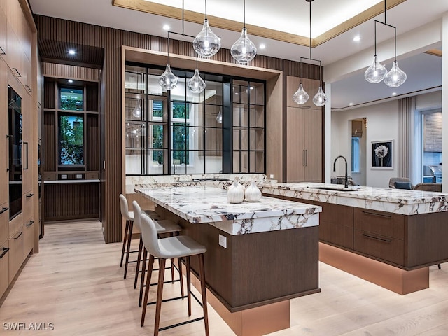 kitchen featuring tasteful backsplash, a spacious island, decorative light fixtures, sink, and light hardwood / wood-style flooring