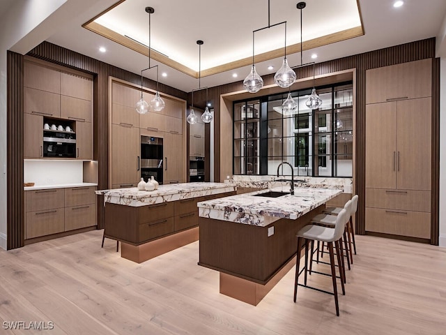 kitchen featuring a spacious island, light hardwood / wood-style flooring, sink, and a tray ceiling