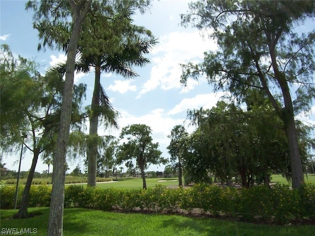 view of community featuring a lawn