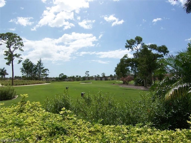 view of home's community featuring a yard