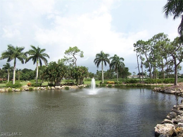 view of water feature