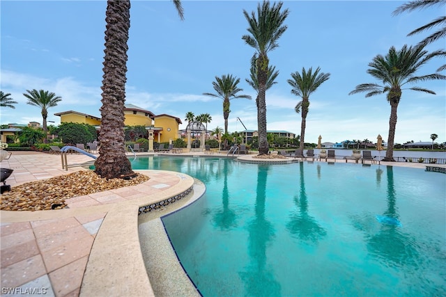 view of swimming pool featuring a patio