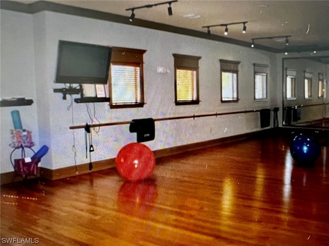 workout room with hardwood / wood-style floors and rail lighting