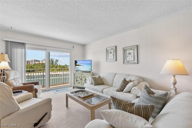 carpeted living room featuring a textured ceiling