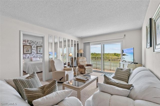 carpeted living room featuring a textured ceiling