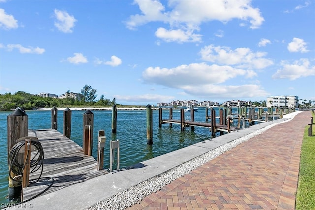 dock area with a water view