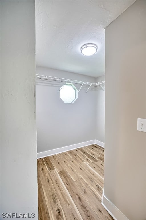 spacious closet with light wood-type flooring