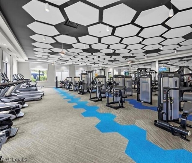 gym featuring carpet